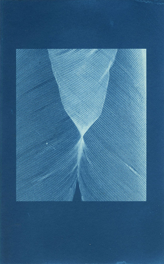 Duncan-Marquiss-Jay Feather Moire