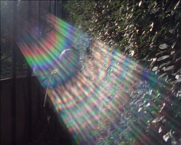 Duncan-Marquiss-Search-Film